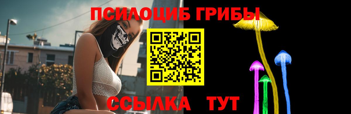 Псилоцибиновые грибы Magic Shrooms Североморск